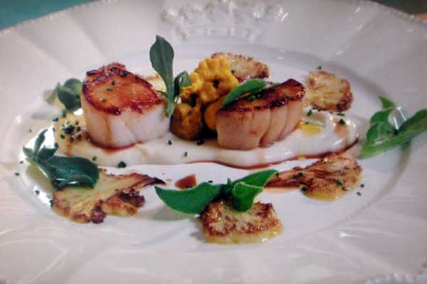 scallop