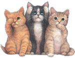 3cats.gif