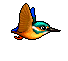 kingfisher.gif